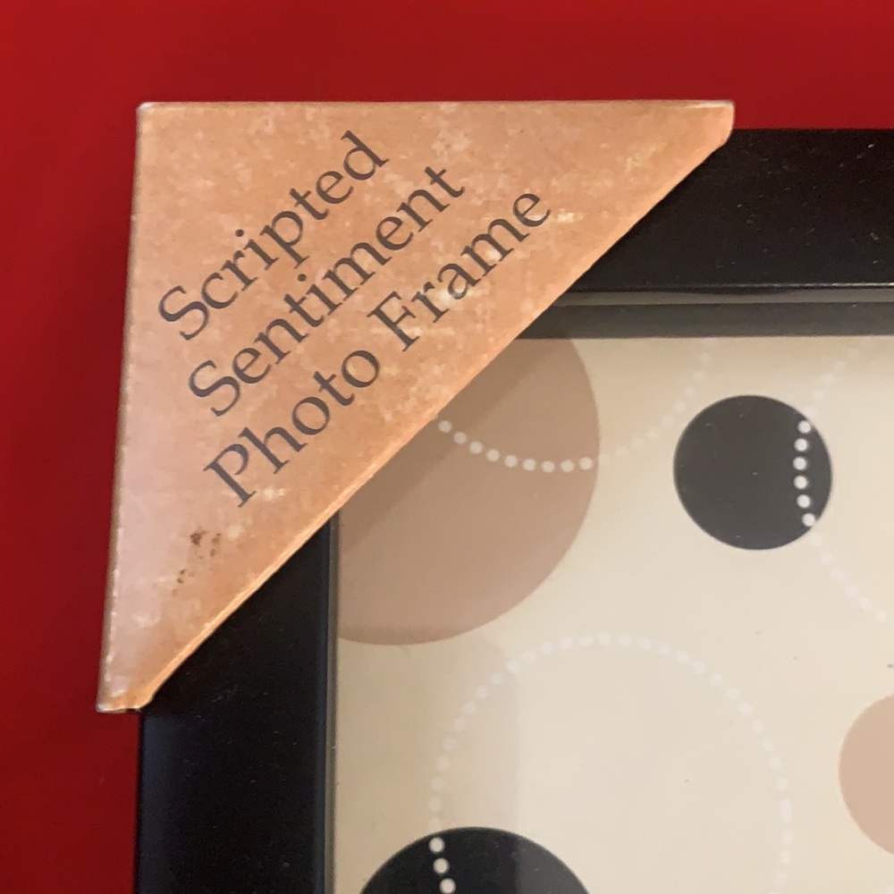 Scripted Sentiment Frame - Picture 3 of 6